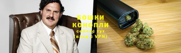 крисы Верхний Тагил
