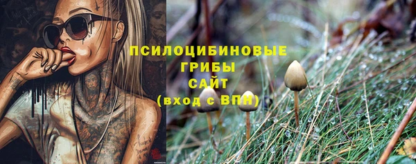 метадон Верея