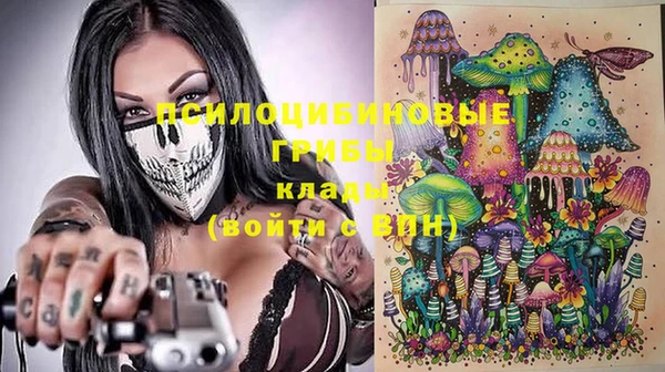 spice Ладушкин