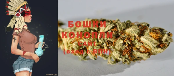 крисы Верхний Тагил