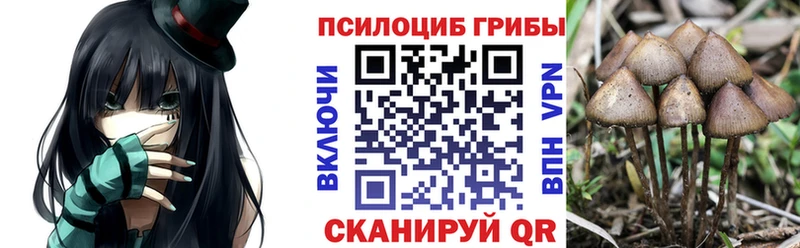 blacksprut   Орехово-Зуево  Псилоцибиновые грибы GOLDEN TEACHER 